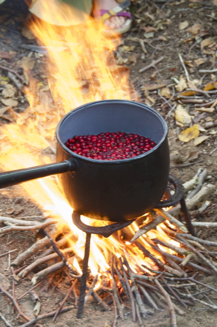 Berries simmering over the fire with hazelnuts roasting in a shallow pit beneath.